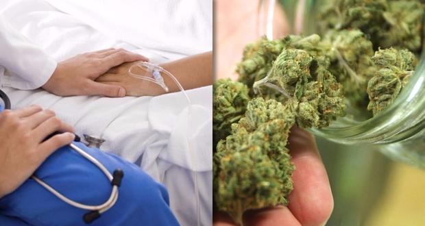 Uso médico de mariguana y muerte digna en CDMX 